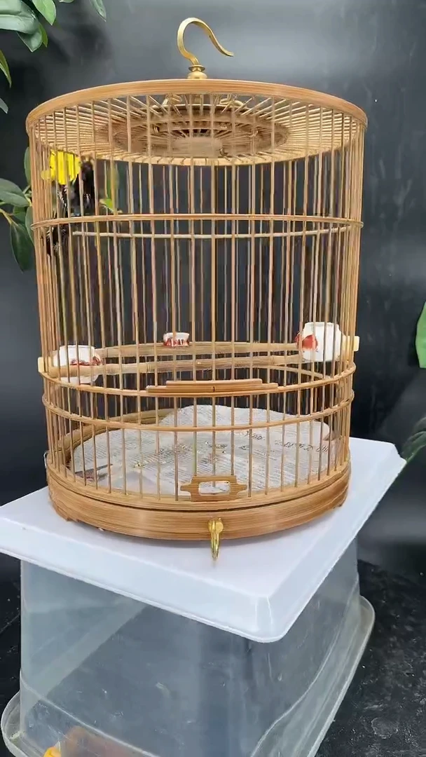 4号  点子养笼  0元起拍
