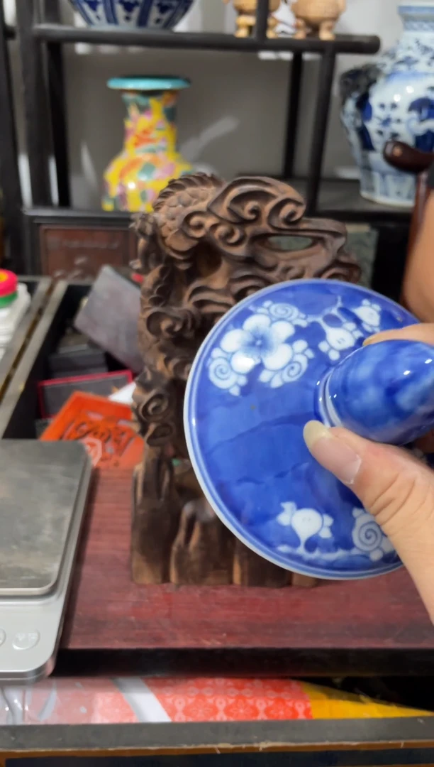 瓷片主播推荐精选好物
