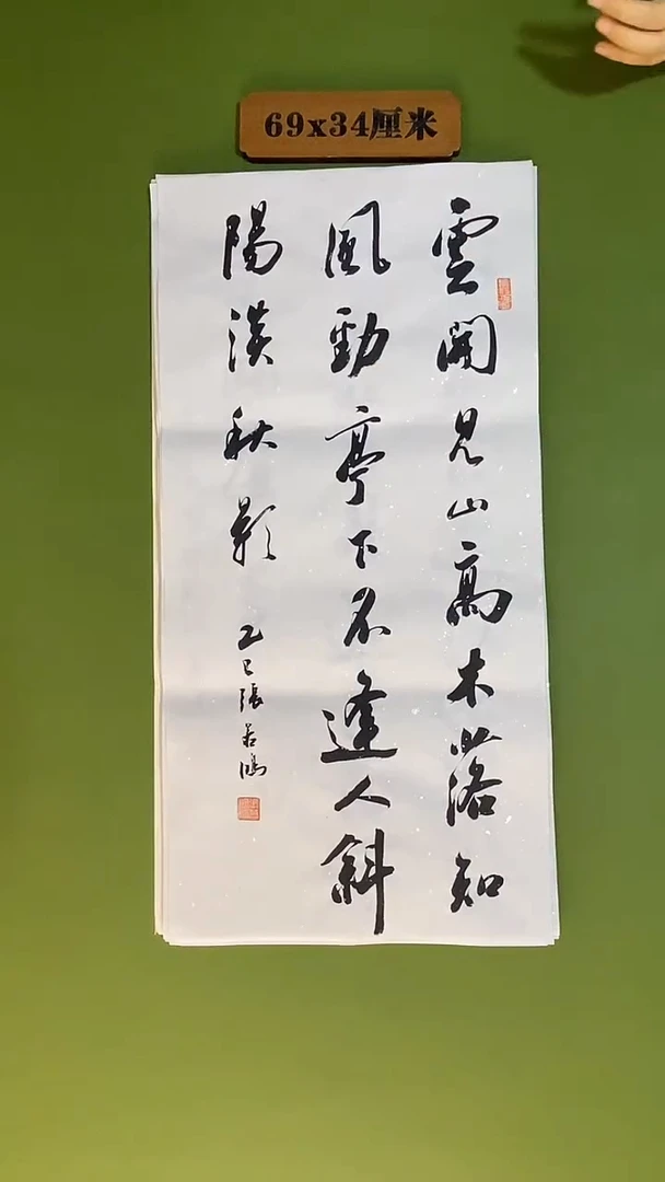 书法书法 张若鸿 尺寸69cm*34cm