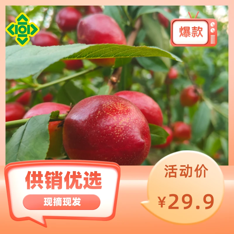 河南黄肉红油桃脆甜多汁果园现摘现发