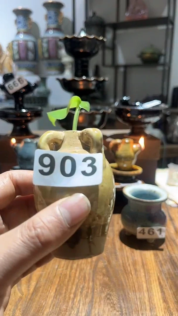 【闪购商品】摆件