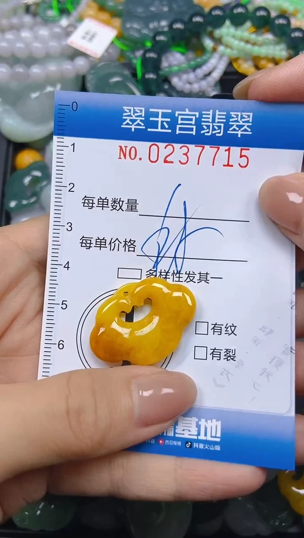 颈饰未镶嵌翡翠闪购C0237715