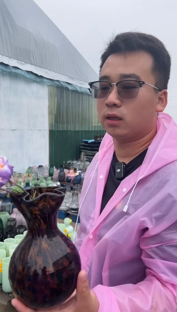 花瓶客厅餐桌插花装饰好物小