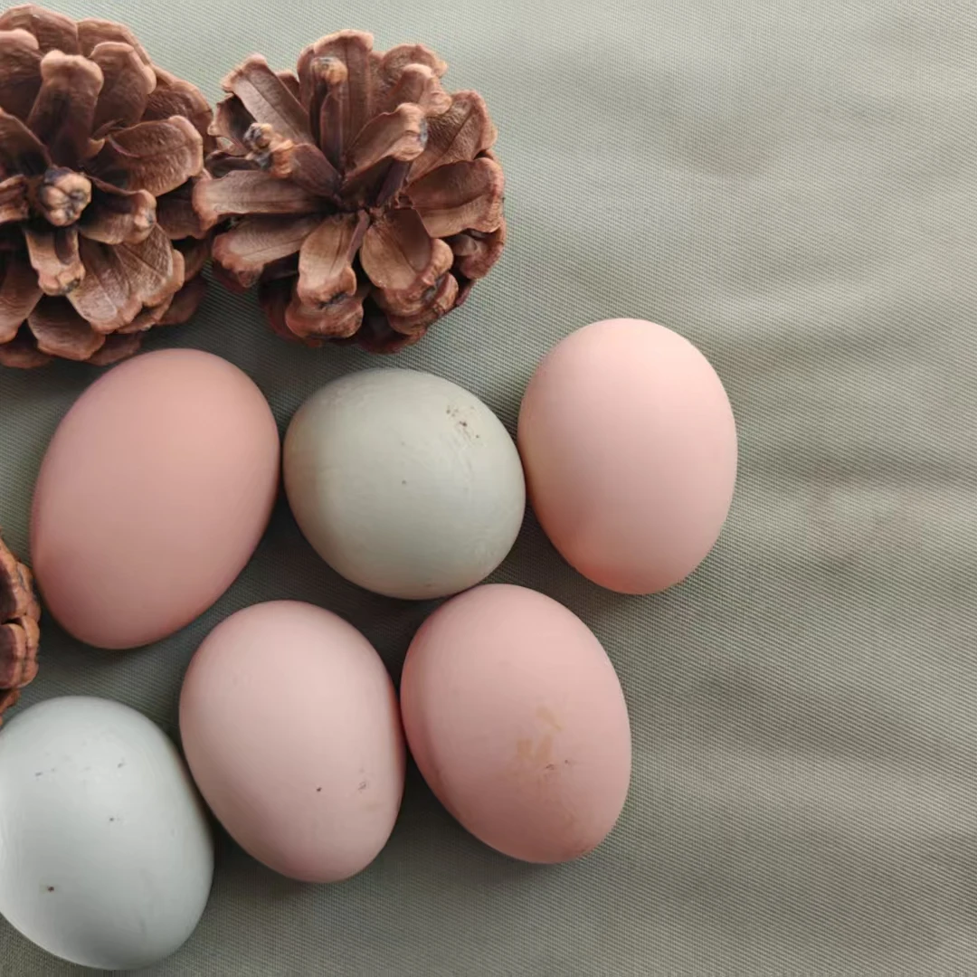 山林自由放养鸡蛋
