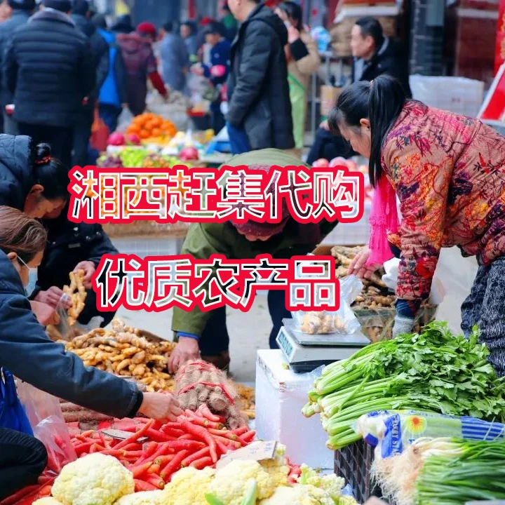 湘西赶集优质代采购农产品干茄子，酸豆角，酸辣椒