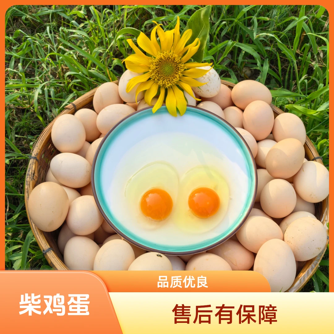 50枚北京林下新鲜鸡蛋农家正宗乡下土鸡蛋鸡蛋农家散养正宗土鸡蛋