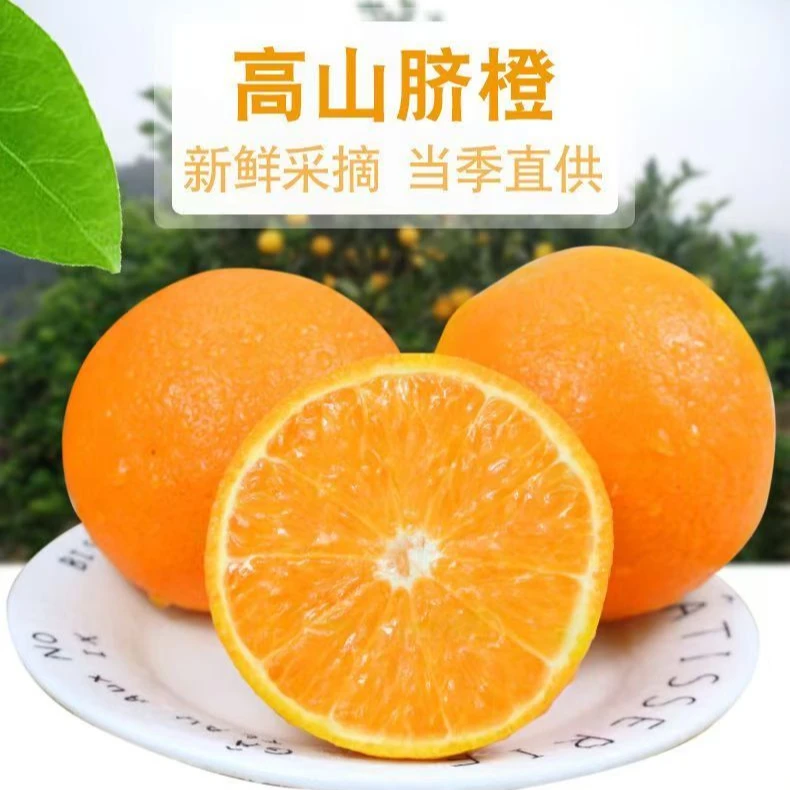 高山纽菏尔脐橙带箱9.5斤现摘现发坏果包赔