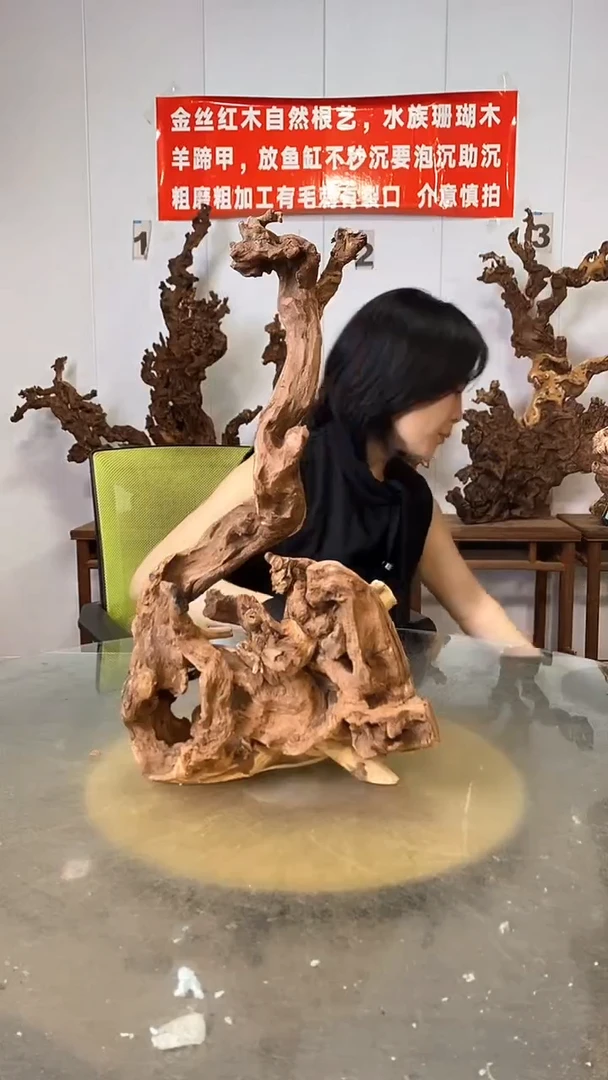 香榧木万**一金丝红木   羊蹄甲