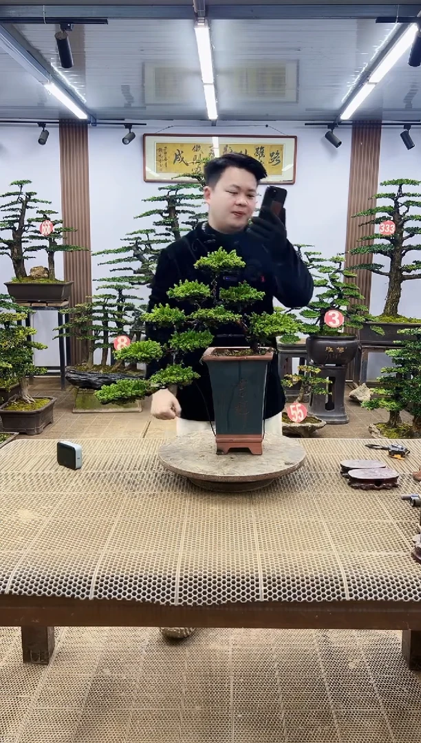 【闪购商品】00000000