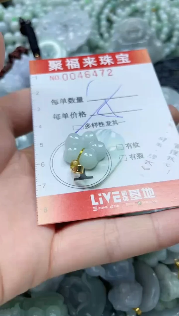 【闪购商品】翡翠颈饰未镶嵌闪购0046472多样性发其一