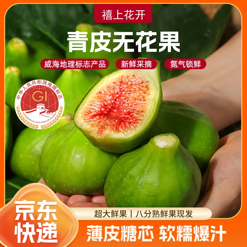 【威海地理标志产品】禧上花开威海青皮无花果 自有种植基地直发