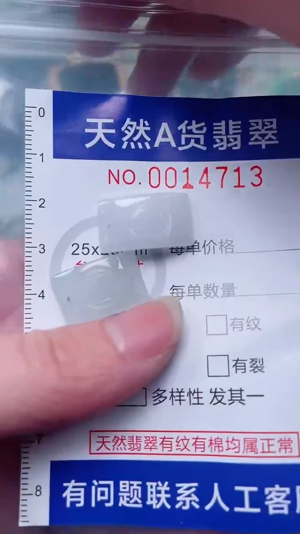 翡翠未镶嵌吊坠(赠链)1