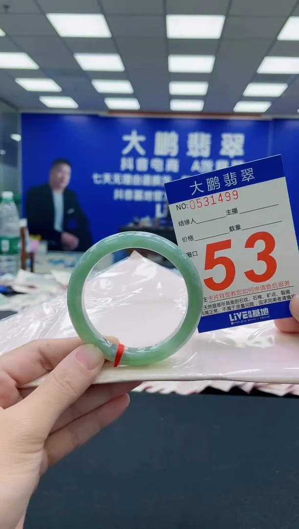 未镶嵌手镯翡翠AAAAAAAAA