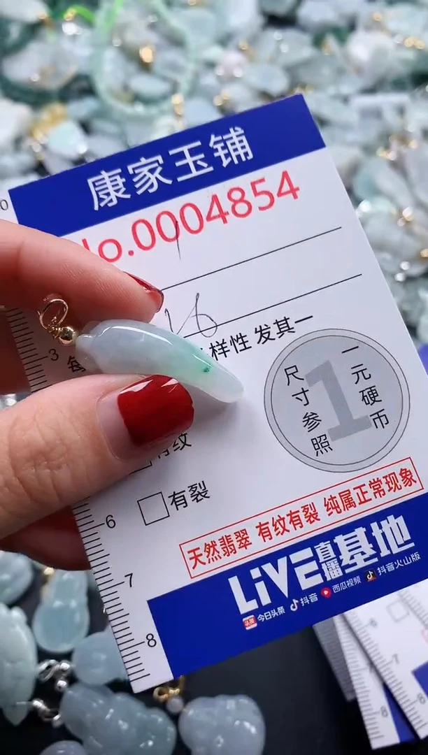 翡翠未镶嵌吊坠(不含链)4854
