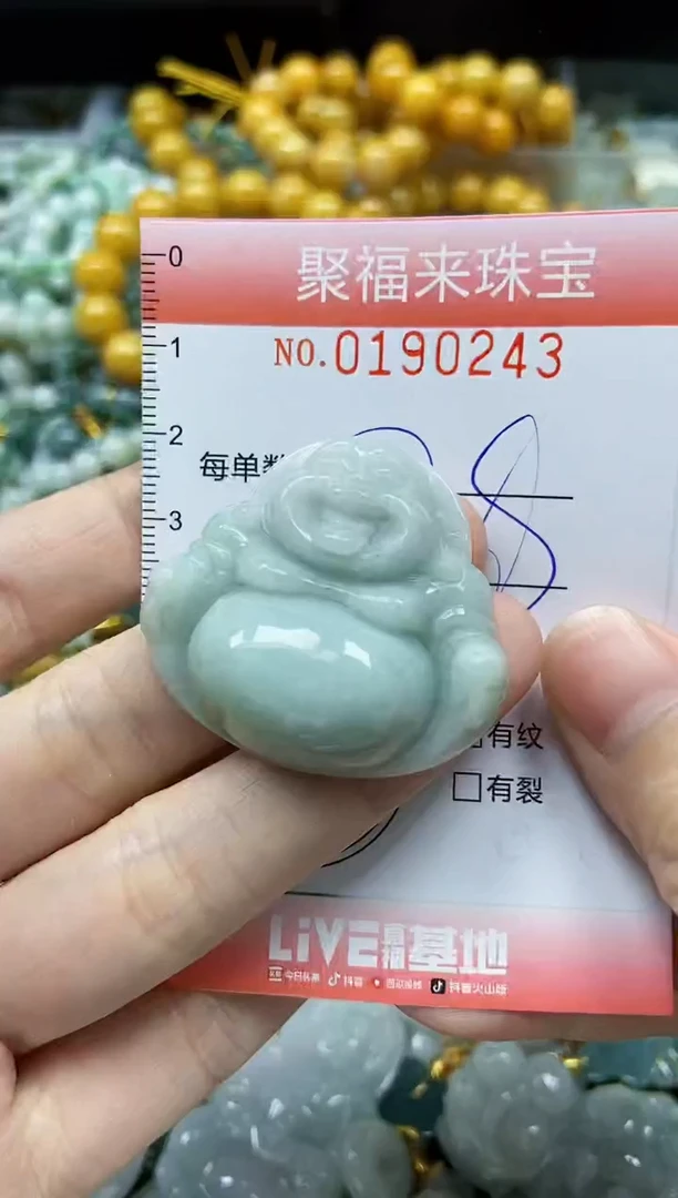 翡翠未镶嵌颈饰闪购0190243