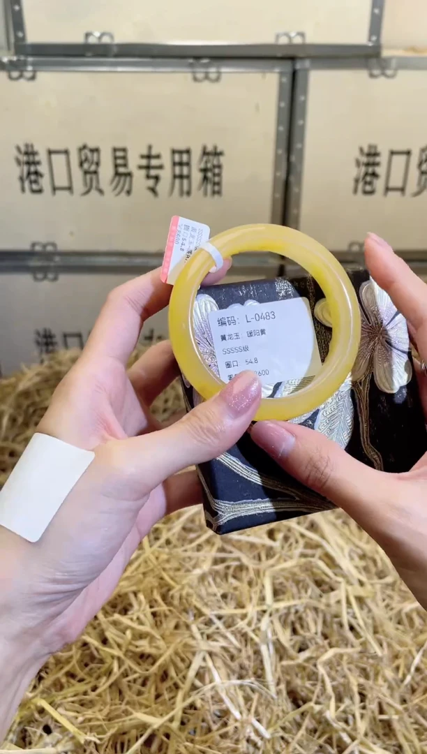 未镶嵌手镯石英质玉L0483