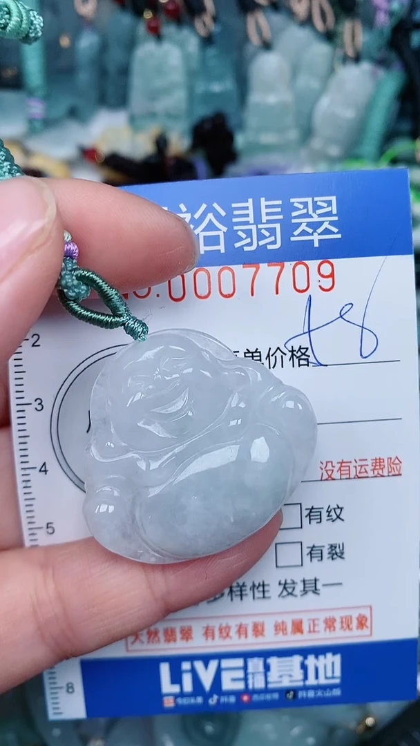 【闪购商品】翡翠颈饰未镶嵌...0007709