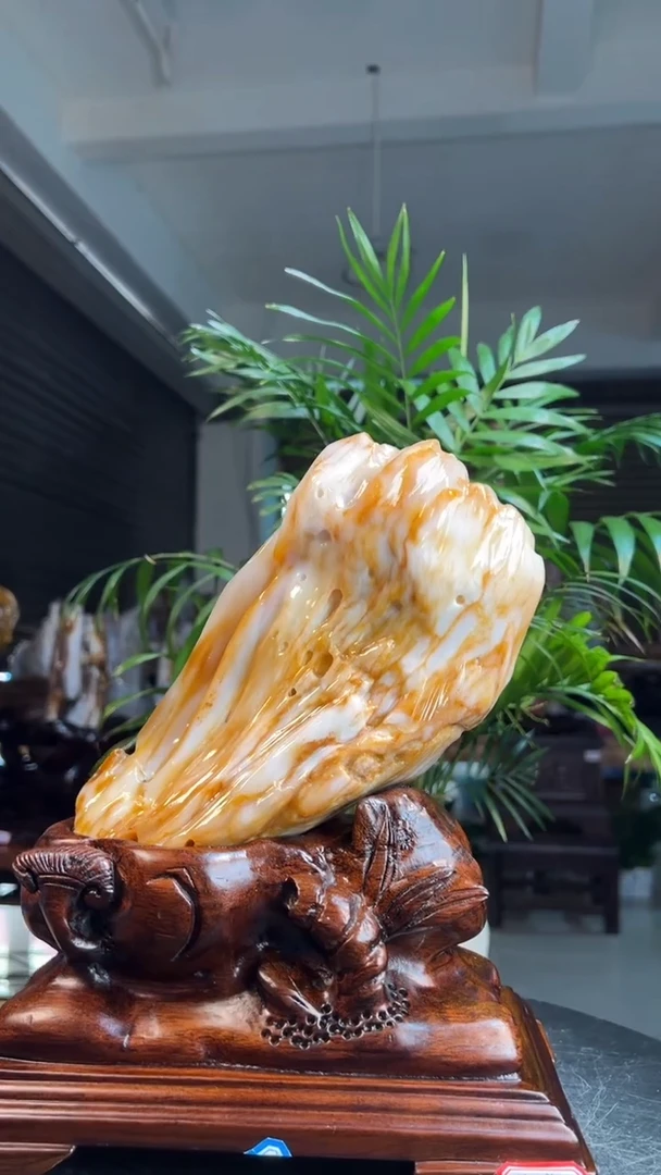 未镶嵌硅化玉（树化玉）珠宝奇石3016（高度28厘米）