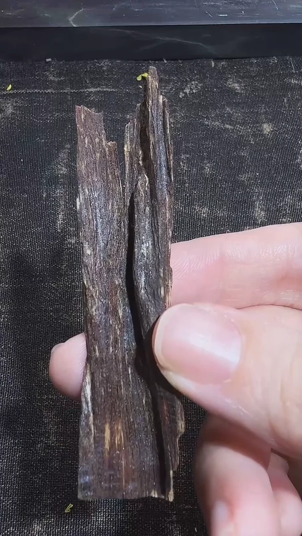 海南黎母山 树心排油  1.1克