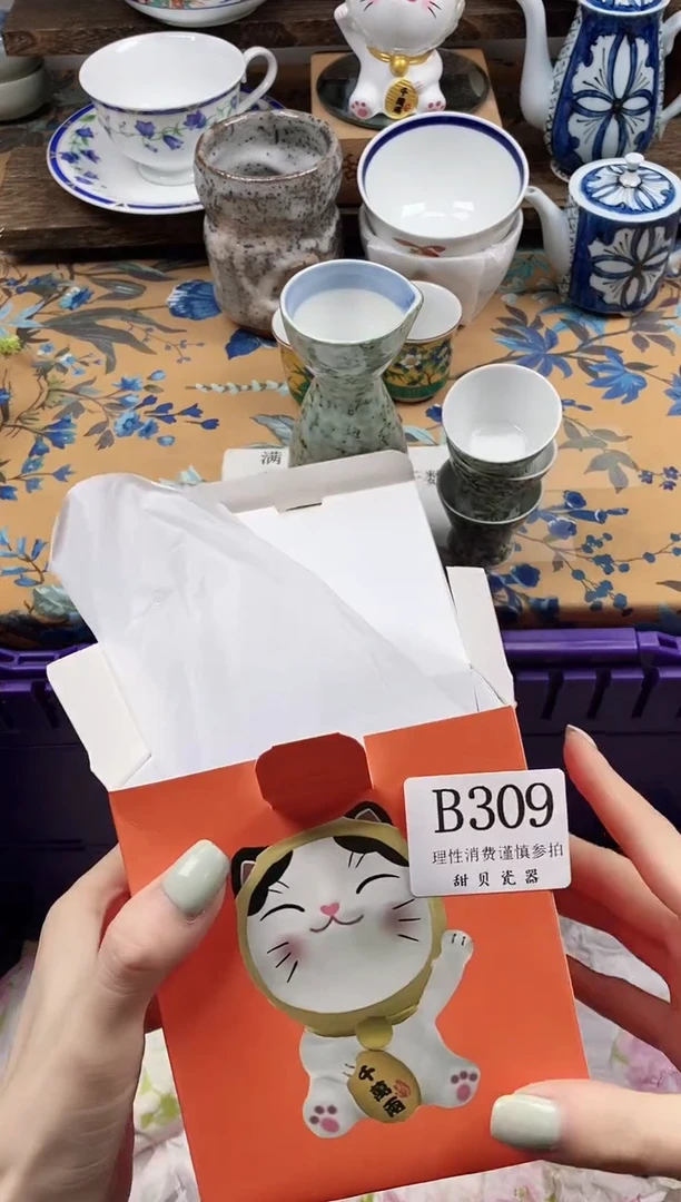 瓷片果**咪                B309