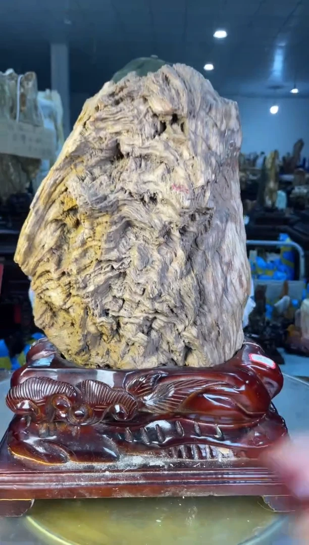 未镶嵌摆件硅化玉54