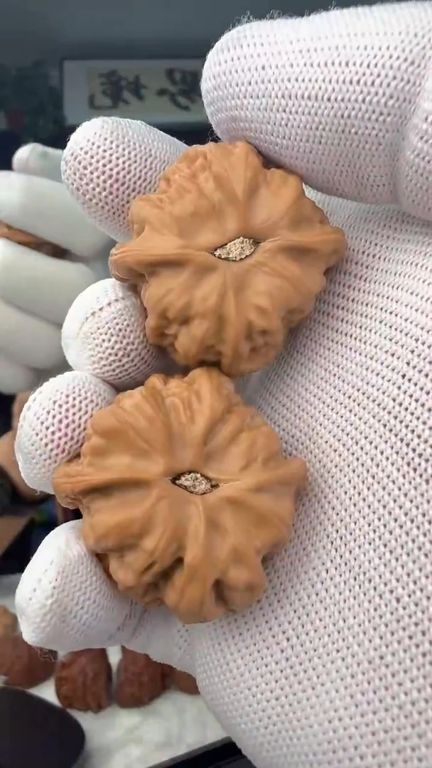 把件龙脊菩提2**時全品无修蛤蟆头