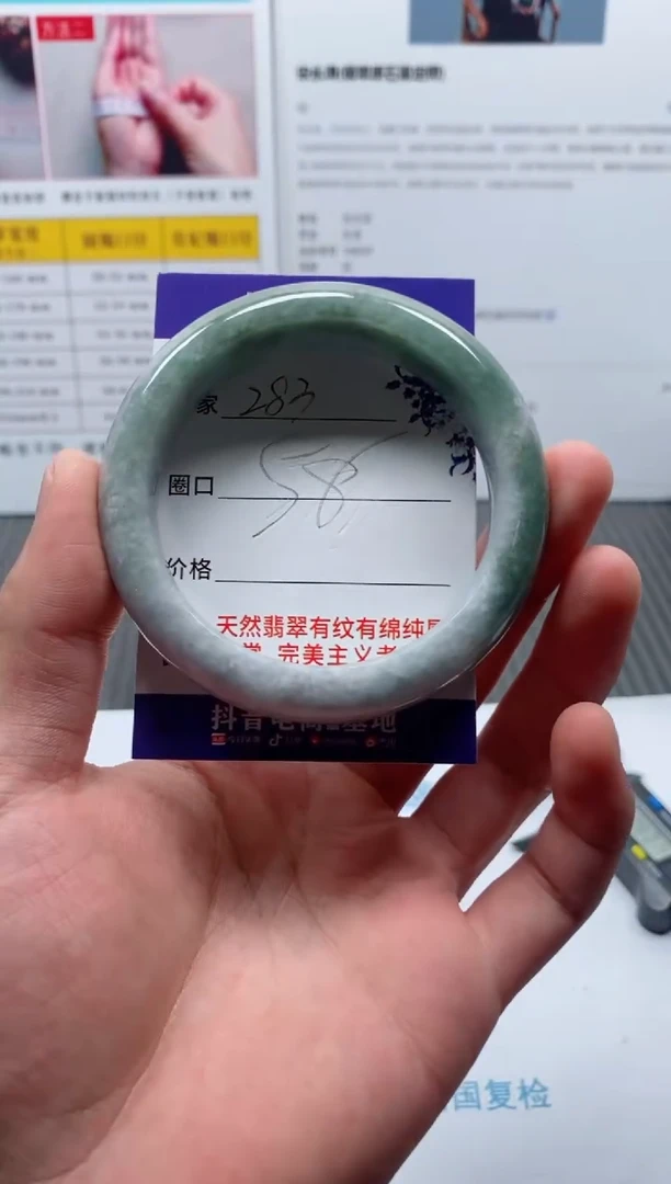 未镶嵌手镯翡翠283