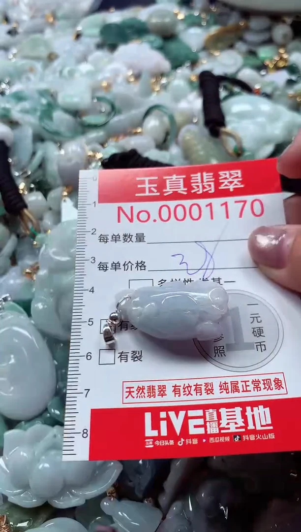 吊坠(不含链)未镶嵌翡翠1170