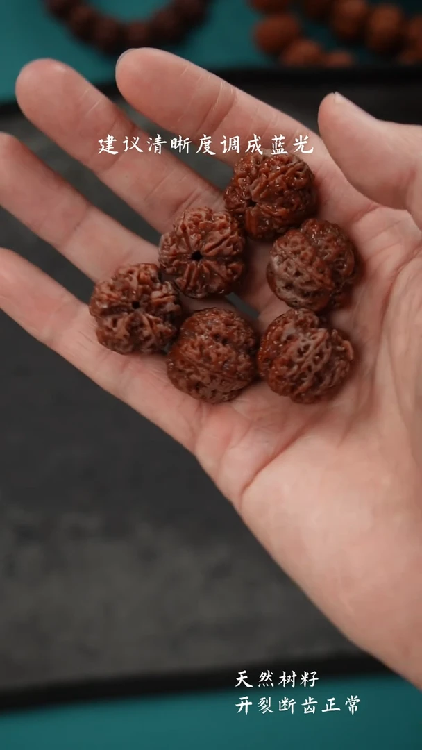 【闪购商品】金刚菩提手串中桩平头古龙梅花22-88