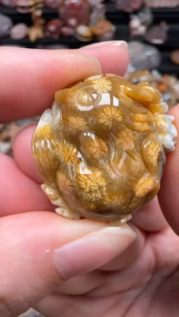 硅化珊瑚（珊瑚玉）未镶嵌颈饰565
