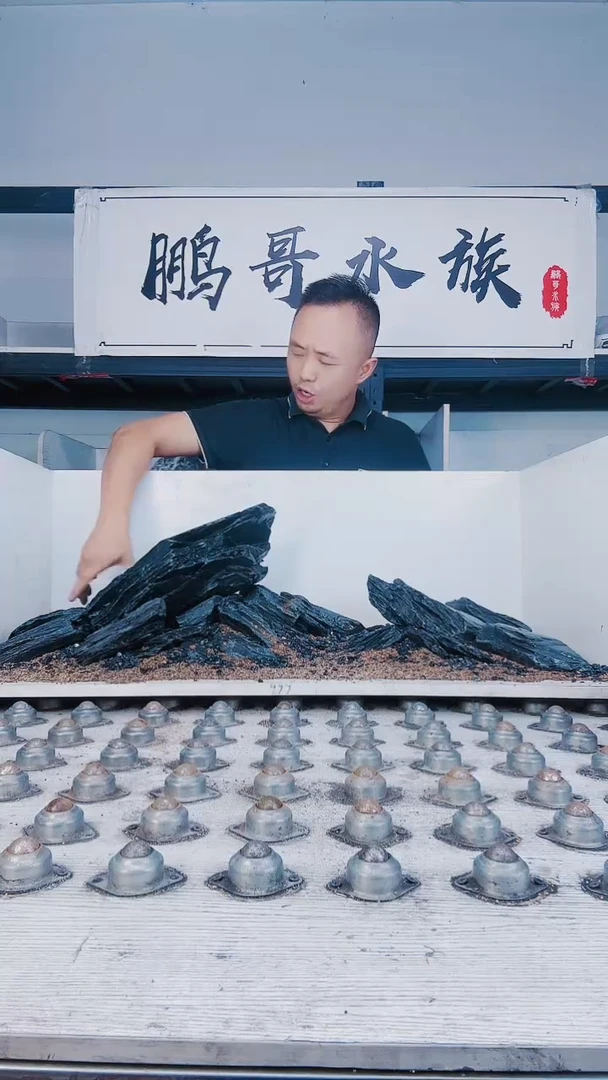 鹏哥水族溪流造景