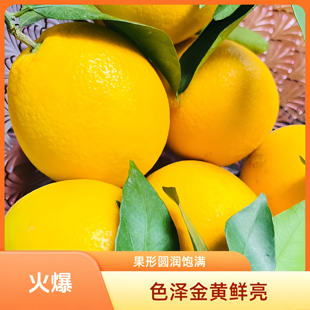 【新鲜现摘精品】正宗江西橙子赣南当季水果送开橙器（江西赣南橙子