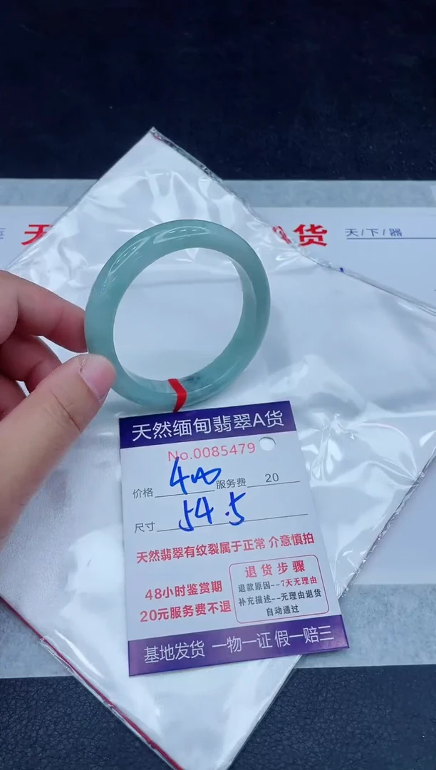 未镶嵌手镯翡翠400.0000