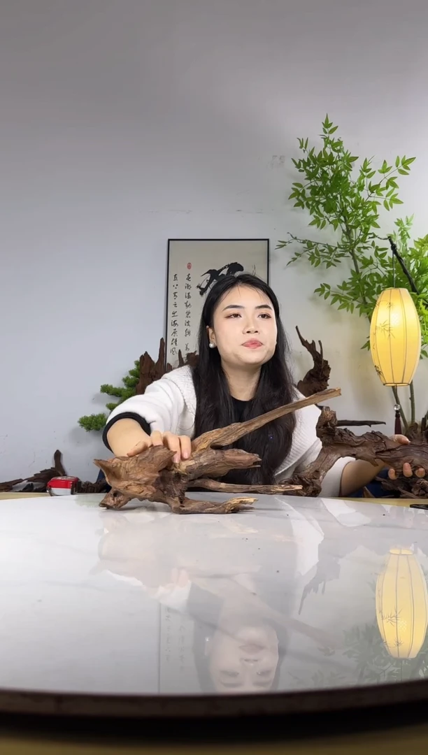 C****i拍沉木定向链接编号61