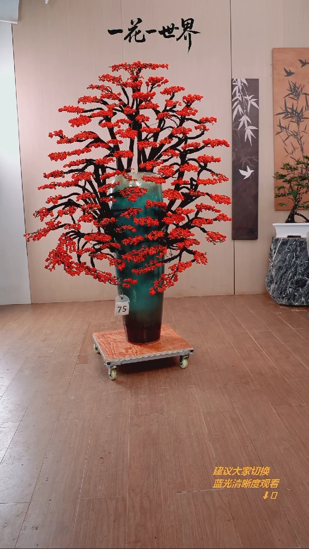 完全开放土**爷冬青