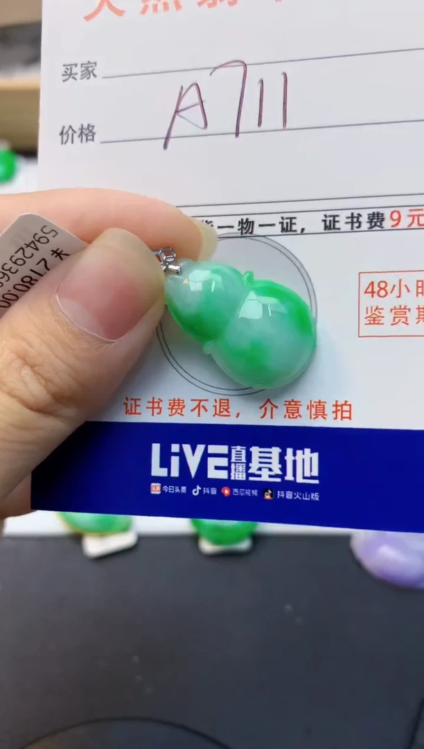 颈饰18K金镶嵌翡翠天然缅甸A货翡翠百元以上9元证书费自理