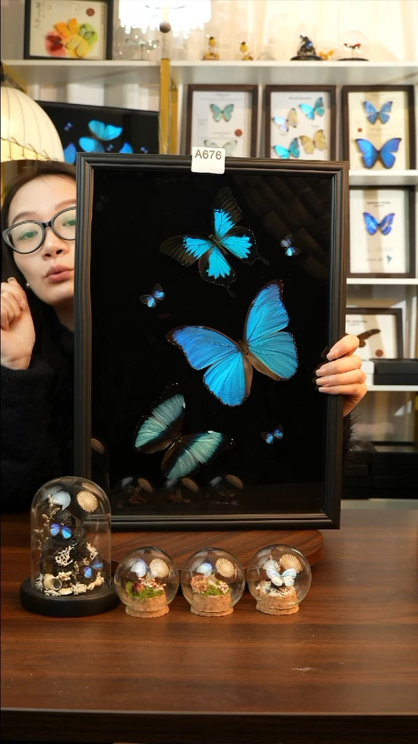 大蓝闪+天堂+梦幻+雅灰6只组合A676