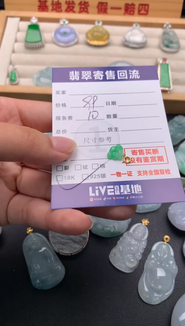 翡翠18K金镶嵌颈饰10143282