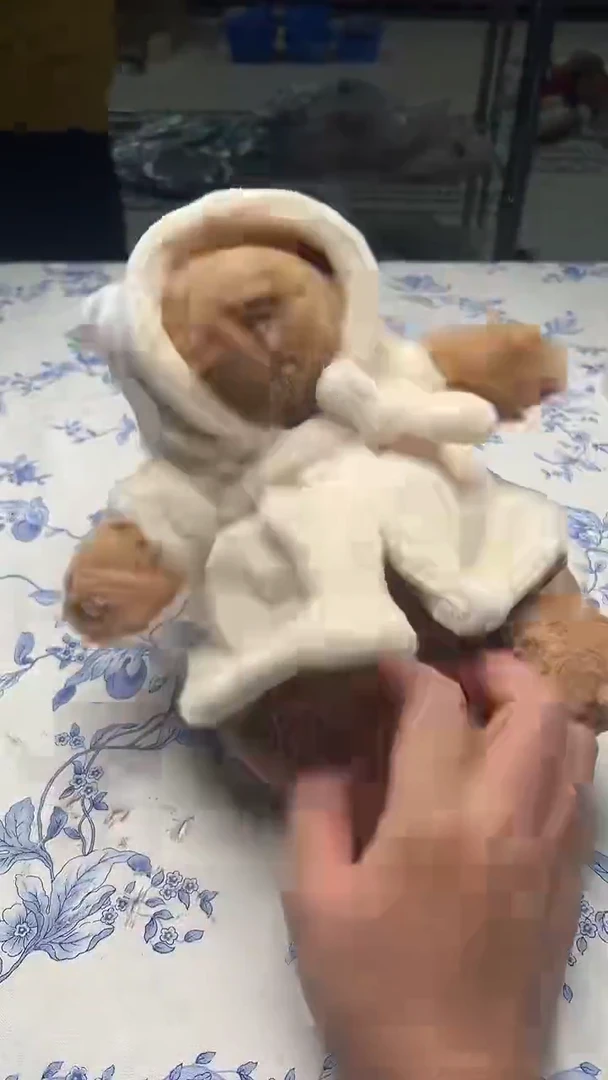 瓷片痕*如图所示如图所示
