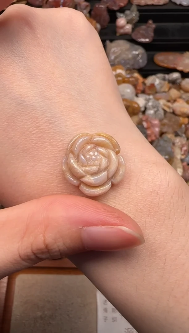 硅化珊瑚（珊瑚玉）未镶嵌颈饰299