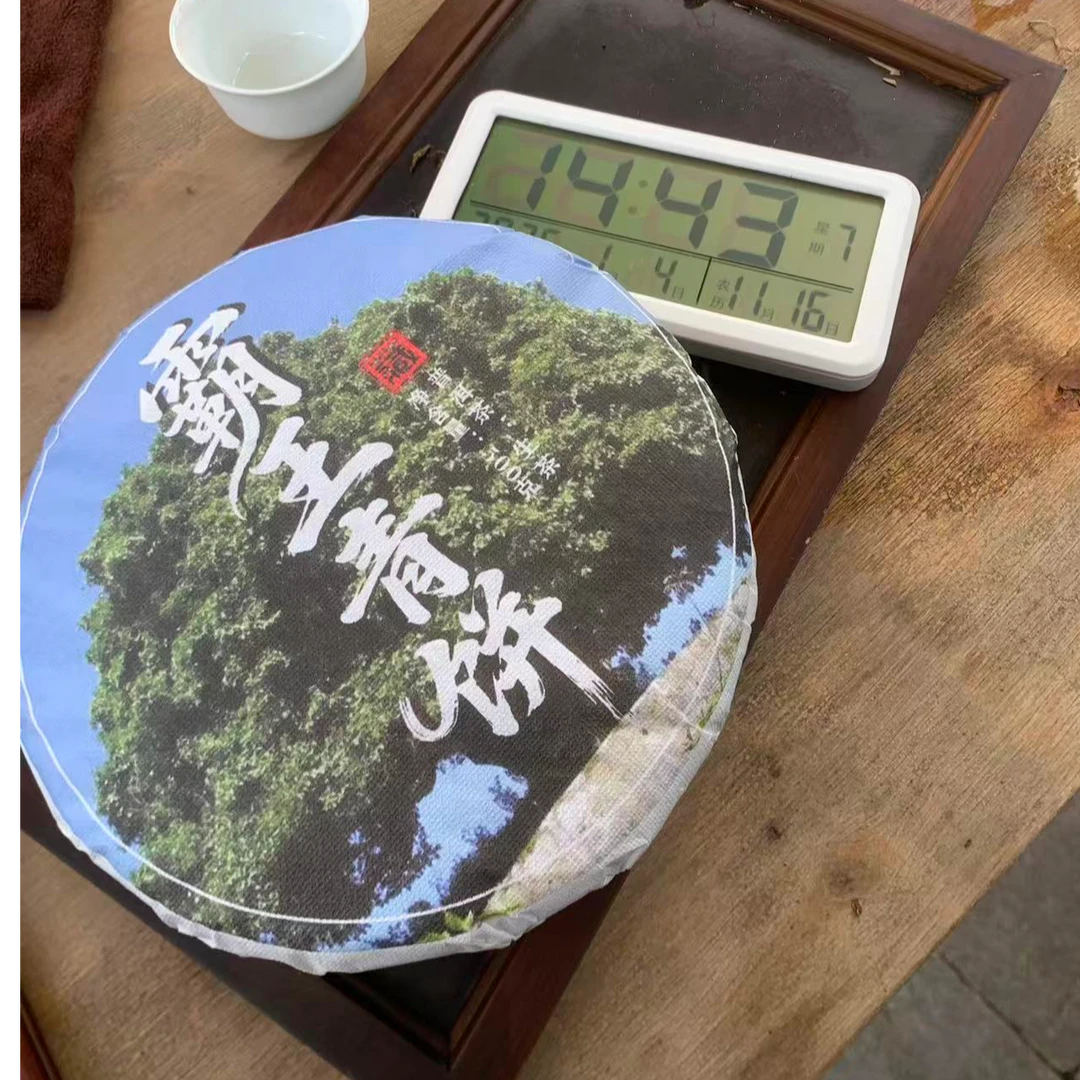 【170号】茶农 灞王青饼古树普洱生茶 饼茶 2025年