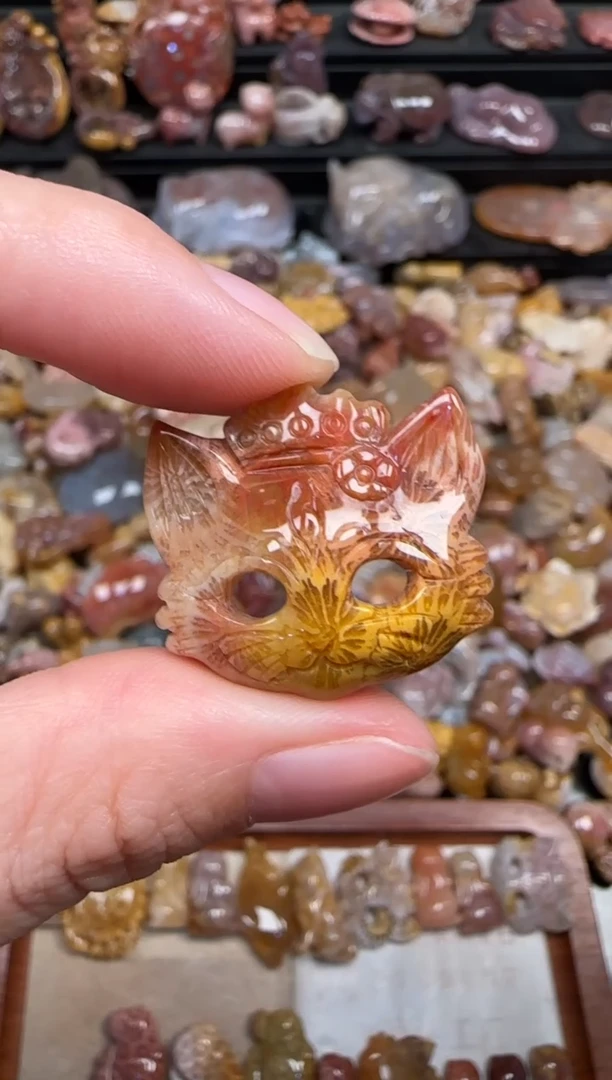 颈饰未镶嵌硅化珊瑚（珊瑚玉）344