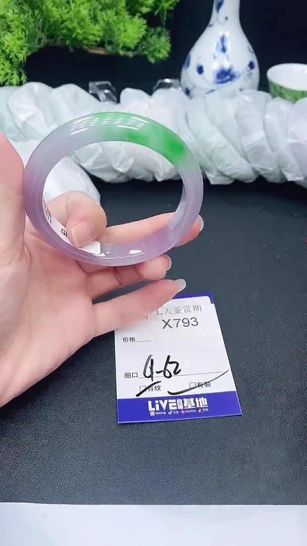 未镶嵌手镯翡翠793