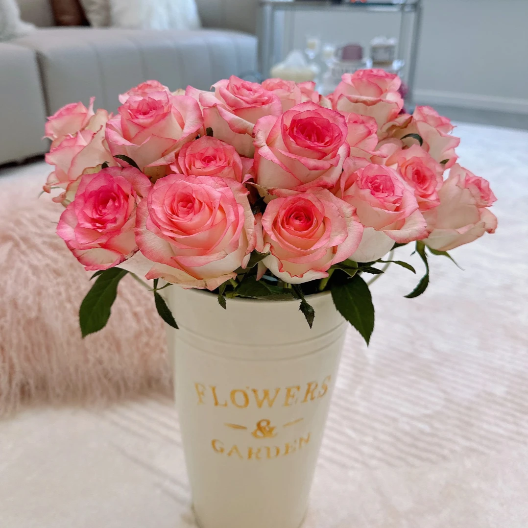 【花鲜丰】艾莎玫瑰新粉福利 鲜花次日达家居装饰花瓶插花