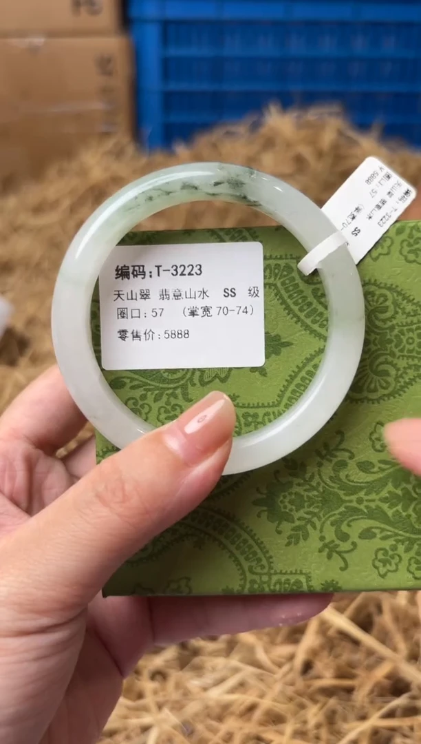 未镶嵌手镯石英质玉T-3223-57
