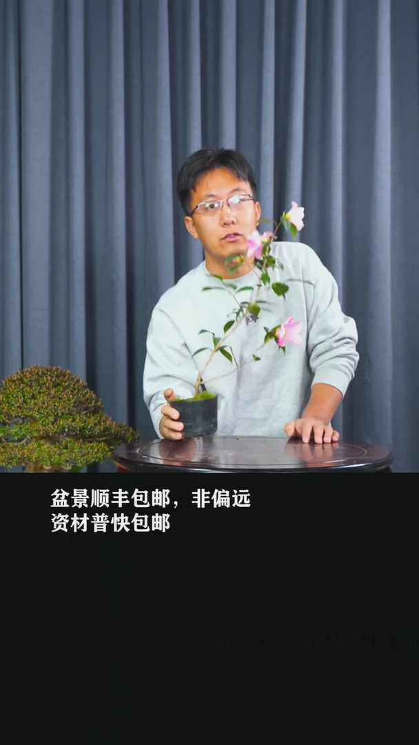 【闪购商品】港之曙-AA41