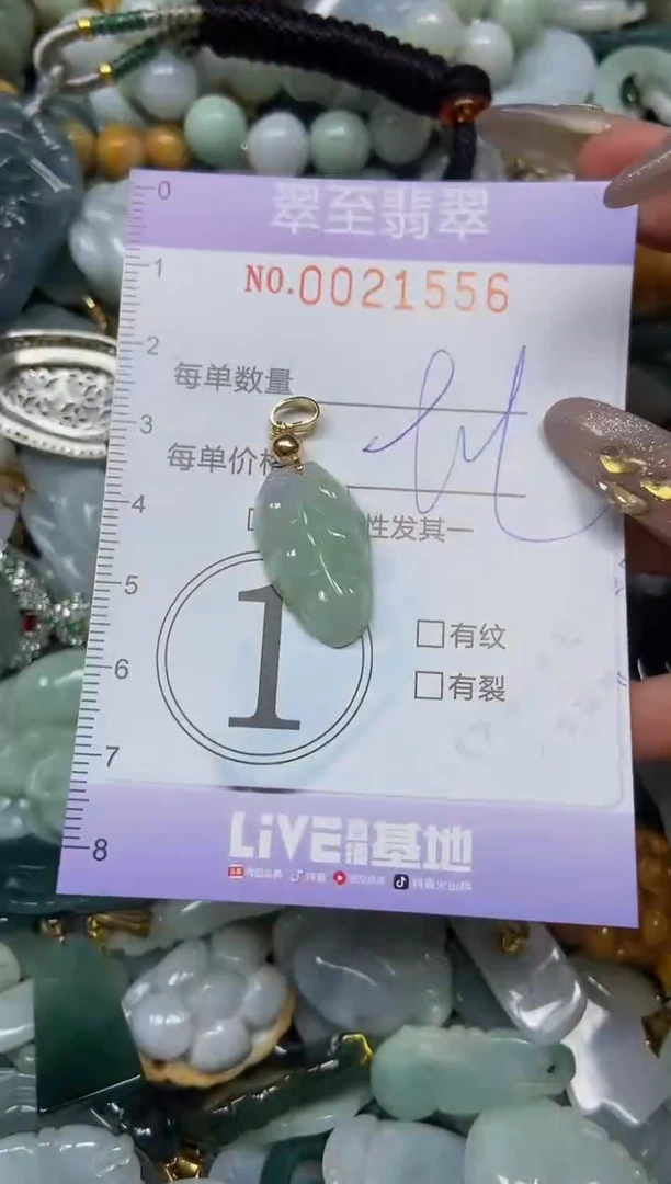 【闪购商品】翡翠颈饰未镶嵌闪购0021556