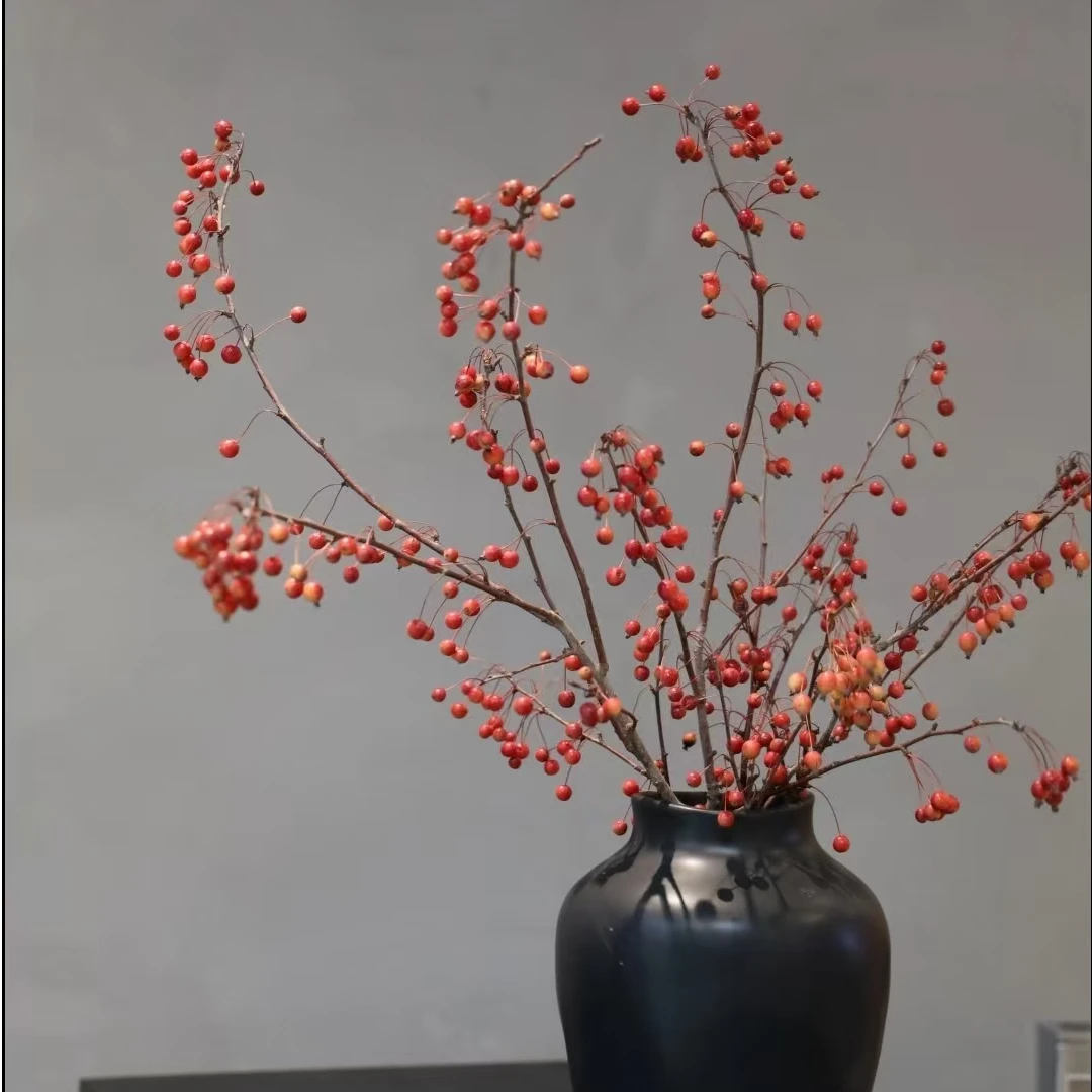 海棠果家居瓶插水养装饰鲜切枝花期长简单易养云南基地直发