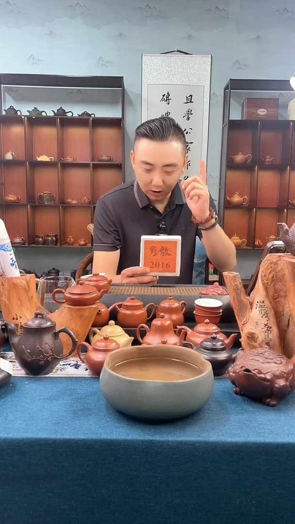 茶壶紫砂野放寿眉白茶