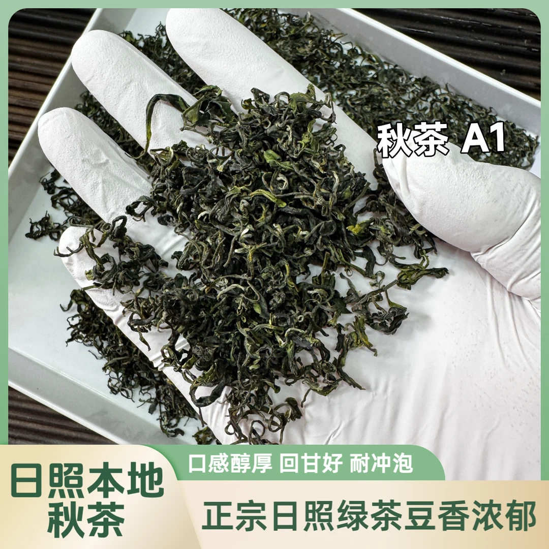 安大陆【2025秋茶】正宗日照绿茶豆香浓回甘茶毫丰富耐泡沙口